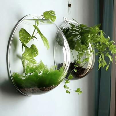 Bộ 2 chậu trồng cây tròn trong suốt treo tường + móc dán, chậu trồng cây thủy canh, giỏ hoa, bình nhựa, giá đỡ chậu trang trí trong nhà/ngoài trời, giỏ hoa treo tường ban công, hành lang, phòng ngủ, món quà tuyệt vời nhất cho gia đình và Ngày của Mẹ, trang trí tường.