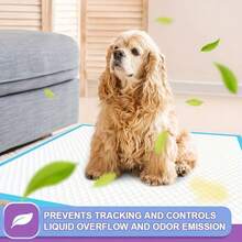 100片装超强吸水幼犬尿垫，防漏速干，适用于狗狗训练、狗狗排尿、一次性狗狗尿垫、一次性猫咪尿垫、加厚宠物厕所垫 - 藍白色 - 查看 9