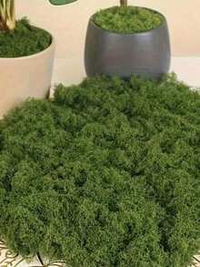 Thảm rêu nhân tạo 1m x 1m, tấm rêu tự làm trông như thật, thích hợp để phủ cây trong chậu, tiểu cảnh, trang trí nhà cửa, đạo cụ chụp ảnh, vườn cổ tích, trang trí bàn tiệc cưới, dễ cắt, trang trí tường trong nhà/ngoài trời. - màu xanh lá - Xem 2
