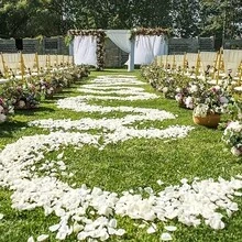 1000片白色玫瑰花瓣，人造玫瑰花瓣，適用於婚禮走道撒花、桌面裝飾、花籃填充，完美適合婚禮、求婚、新娘派對、情人節、週年紀念、生日慶祝、婚禮佈置 - 彩色 - 查看 8