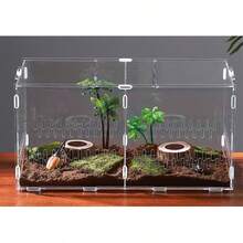 Akryl reptilhabitatlåda, litet husdjursterrarium för spindlar, ödlor, bönsyrsa, transparent observationsbehållare - Multifärgad - Visa 5