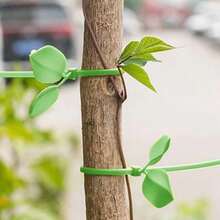 10/20个装绿色园艺植物夹，自锁式叶形蔬菜种植工具，可伸缩园艺支撑工具 - 多色 - 查看 4