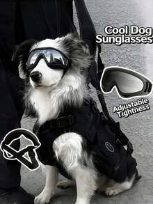 New Pet Goggles, Dog Windproof Sunglasses, Dog Protective Glasses For Teddy, French Bulldog, Corgi - Multicolor - View 1