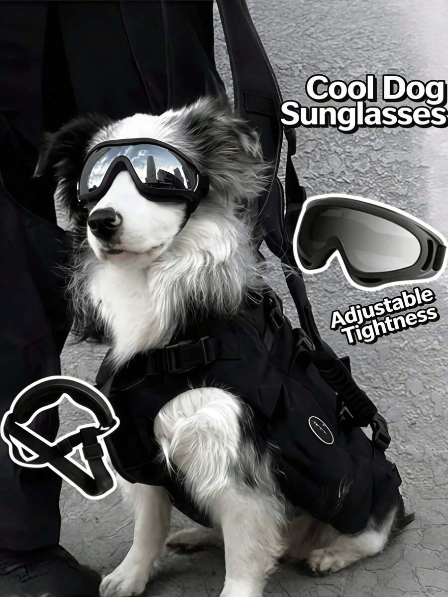 New Pet Goggles, Dog Windproof Sunglasses, Dog Protective Glasses For Teddy, French Bulldog, Corgi - Multicolor - View 1