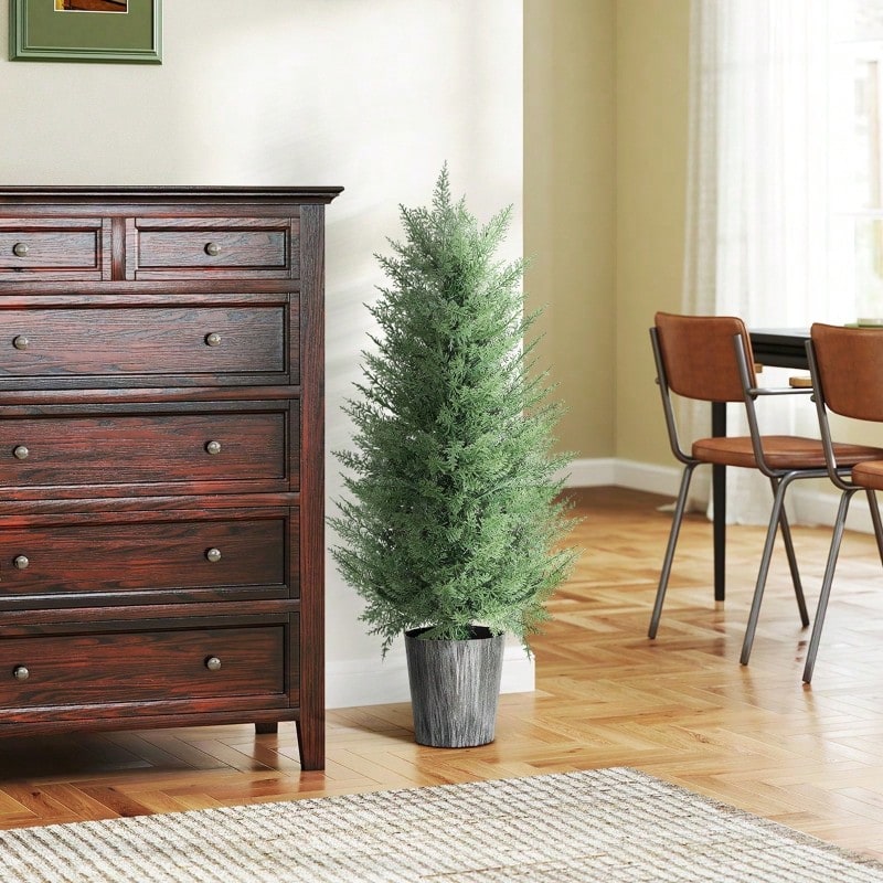 Live Plants - Green - View 1