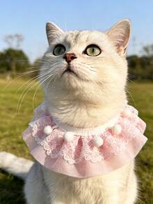 Lace Collar For Pets, Teddy Bib, Cat & Dog Outdoor Photo Prop Accessory, Gift - Pink - View 3