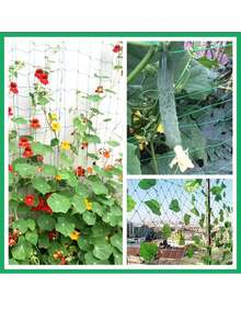 Giàn leo cây, lưới trồng cây bằng polyester chịu lực cao, lưới giàn leo sân vườn với mắt lưới vuông cho cây leo và rau củ. - Nhiều màu - Xem 10