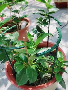 4/1pc-Plant Support Rings, Suitable For Greenhouse Gardens, Can Be Used As Semi-Circular Fixing Rods For Indoor Flowers And Climbing Plants, Adjustable Flexible Bonsai Tools, Helpful For Height Fixing. Suitable For Greenhouse Gardening, Indoor Flower Racks, Lightweight Planting Tools, Gardening Stakes, Greenhouse Growers, Home Gardeners, Suitable For Indoor/Outdoor Small Plants. - Monochrome - View 2