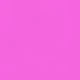 Rosa Fucsia