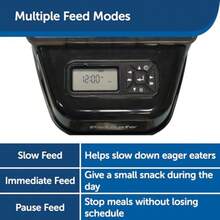 Healthy Pet Simply Feed Automatic Feeder - Headquartered in Knoxville TN - Automatic Dog Feeder from The Engineers of The Smart Feed and Dancing Dot - 1-Year Comprehensive Protection Plan - Mascota saludable simplemente alimenta - Ver 3