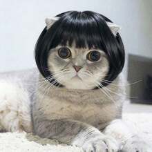 Tóc giả kiểu thú cưng cho mèo, chó, chó poodle - Màu đen tự nhiên - Xem 3