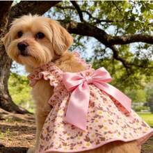 1件浪漫碎花无袖连衣裙，适合小型犬猫，透气轻盈，优雅公主风，适合春夏穿着。 - 彩色 - 查看 15