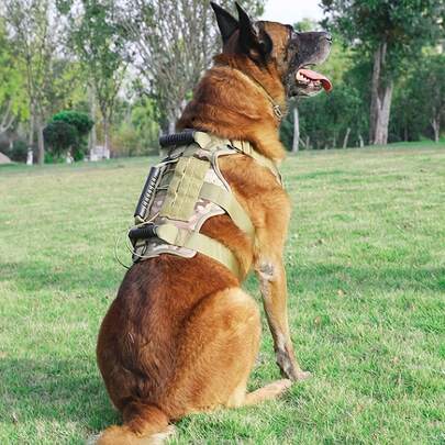 1pc Multi-Color & Size Pet Tactical Vest Harness, Dog Shock Absorbing Comfortable Chest Strap, Pet Leash Explosion-Proof Chest Strap For Medium & Large Dogs, Outdoor Supplies