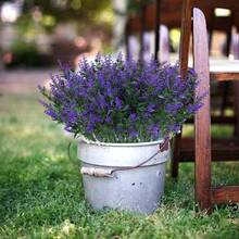 1/5/12 pièces Fleurs artificielles, cadeau pour la Saint-Valentin et le Nouvel An, plantes en plastique résistantes aux UV et ne se fanant pas pour la décoration extérieure du jardin, du porche, du rebord de fenêtre, de la décoration intérieure de la maison (blanc) - Prune - Voir 6