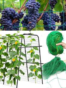 Giàn leo cây, lưới trồng cây bằng polyester chịu lực cao, lưới giàn leo sân vườn với mắt lưới vuông cho cây leo và rau củ. - Nhiều màu - Xem 1