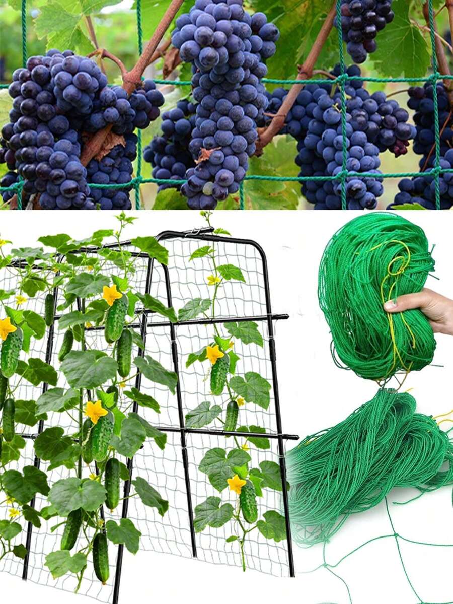 Giàn leo cây, lưới trồng cây bằng polyester chịu lực cao, lưới giàn leo sân vườn với mắt lưới vuông cho cây leo và rau củ. - Nhiều màu - Xem 1