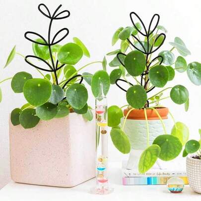 1个叶形花园攀爬架，攀爬植物攀爬架，室内盆栽植物装饰植物支架