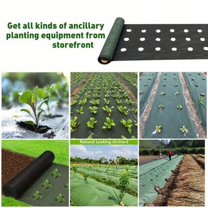 Vải không dệt hai lớp chịu lực cao, đường kính lỗ 8cm, chất liệu PP thoáng khí và thấm nước, thích hợp làm lớp phủ đất trong vườn và trồng dâu tây/cà chua.