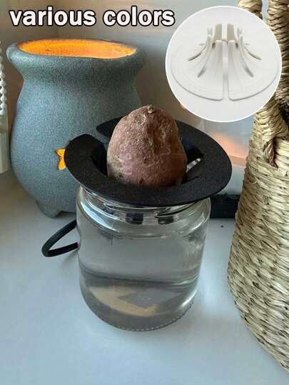 Slouchy Hydroponic Planting Device | Hydroponic Stand, Designed Specifically For Avocado Seeds, Fits 30mm-40mm Avocado Seeds, Indoor Kitchen Soil-Free Cultivation Device