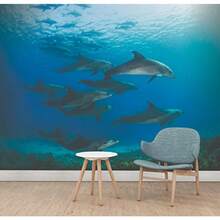 Murals - As Pic - View 2