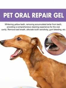 2支装宠物口腔护理凝胶，深层清洁犬猫牙齿污渍及口腔护理 - 彩色 - 查看 2
