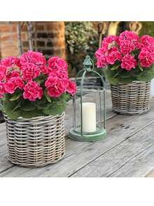 1 株仿真天竺葵花，丝质天竺葵，抗紫外线户外仿真白色天竺葵灌木，假花植物，适合盆栽、花园和家居装饰、室内花瓶和桌面摆件 - 深玫色 - 查看 8