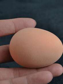 1个逼真弹性蛋，魔术道具，节日派对表演，减压玩具 - 彩色 - 查看 3