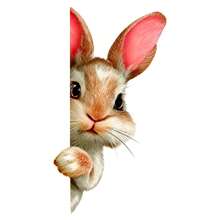 1pc Curious Peeking Rabbit Window Sticker, Cute Animal Design Wall Decal, Removable Self-Adhesive Glass Window Sticker For Decorating Kitchen, Bedroom And Living Room, Farm Animal Theme Gift Sticker - YT143 - View 7