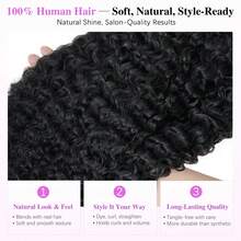 Uveous Burmese Curly Wig 13x4 Lace Front Wigs Human Hair Wet And Wavy Pre Plucked HD Transparent Lace Frontal 100% Human Hair Wigs With Natural Color Halloween Season - Natural Black - View 6