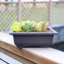 Square & Rectangle Imitation Zisha Flower Pot, Bonsai Pot, Small Potted Plant Plastic Container, Succulent Plant Pot - Multicolor - View 6