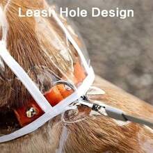 透明狗狗雨衣 - 速干PVC材质，全方位防水保护，纽扣设计，适合小型至中型犬（泰迪犬、比熊犬、小型毛绒犬） - 雨天散步专用透明雨具，优雅宠物配饰 - 彩色 - 查看 5