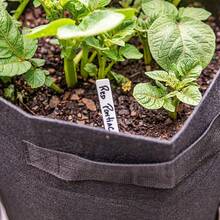 2 Túi trồng khoai tây có nắp đậy, dung tích 10 gallon (khoảng 35,7 lít), chậu hoa có tay cầm và cửa sổ thu hoạch, thích hợp trồng khoai tây, cà chua và các loại rau như atiso, củ cải đường, cà rốt, hành tây, đậu phộng, lạc đen. - vải không dệt - Xem 8