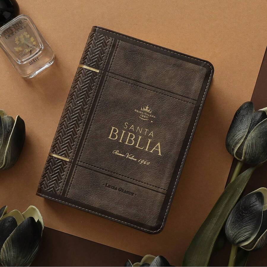 RVR60 Neoclassical Mokka Bible, Gilded Edges, Compact Size, Large Print, Imitation Leather