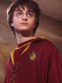 Harry Potter 1枚金属弧形盾形徽章，美学勇敢狮子与狡猾蛇高浮雕盾形徽章复古胸针，周边礼品，徽章非常适合作为背包徽章、时尚装饰礼品、墙面艺术品、角色扮演和粉丝收藏品。[官方授权] - A - 查看 6
