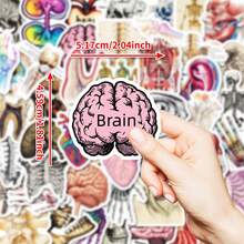 50 Piezas Pegatinas creativas de cerebro para botellas de agua, portátiles, teléfonos, scrapbooks, diarios, regalos para parachoques para adolescentes y adultos - Invierno, Año Nuevo - Multicolor - Ver 2