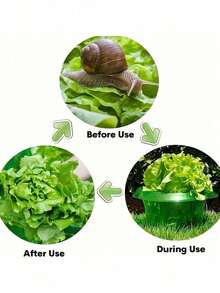 Snail Collar, Snail Protection Ring, Green Plastic Plant Protector, Snail Barrier, Snail Collar To Protect Plants, No Chemicals Needed, Suitable For Indoor And Outdoor Garden - A - View 6