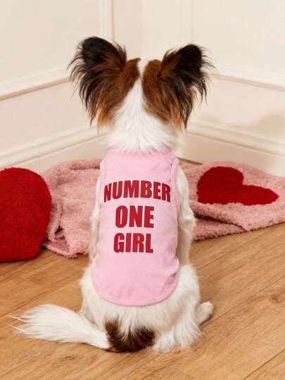 LUCKIE PAW 1件字母图案宠物背心，物理防跳蚤，减少掉毛，保暖透气，适合小型和大型宠物，室内/室外均可穿着。