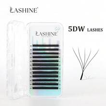 Lashine 12排 0.07D 黑棕色 5DW 型睫毛嫁接，短距离 5DW 睫毛，5D U 型睫毛，双头 5DW 睫毛，卷翘睫毛，专业美容院批发 - 查看 5