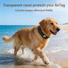 1 pieza Collar protector para rastreador Airtag, collar reflectante ajustable para perros medianos y grandes, collar de nailon para mascotas (Airtag no incluido) - Morado - Ver 7