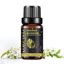 MAYJAM 10毫升/0.33液盎司香水精油滚珠香水，持久留香，香型包括：棕榈玫瑰、白麝香、椰子香草、乖乖女、沉香木、香草麝香、天使、璀璨水晶、性感炸弹、琥珀浪漫、草莓、樱桃、清新亚麻、泡泡糖、海风 - scent - 查看 28