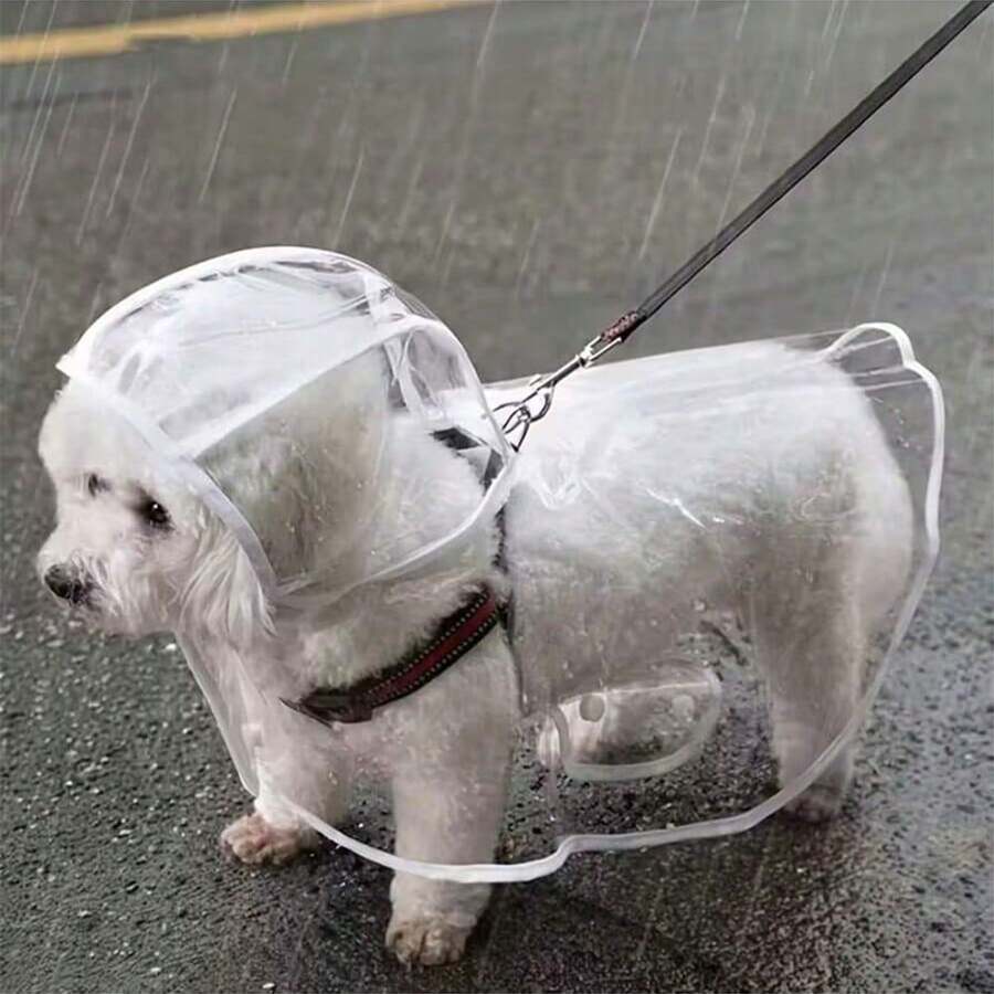 透明狗狗雨衣 - 速干PVC材质，全方位防水保护，纽扣设计，适合小型至中型犬（泰迪犬、比熊犬、小型毛绒犬） - 雨天散步专用透明雨具，优雅宠物配饰 - 彩色 - 查看 1