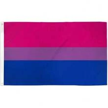 3x5Ft Bisexual Polyester Bi 2 Metal Grommets LGBTQ New - Style 1 - View 1