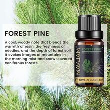 MAYJAM 10毫升/0.33液盎司香水精油滚珠香水，持久留香，香型包括：棕榈玫瑰、白麝香、椰子香草、乖乖女、沉香木、香草麝香、天使、璀璨水晶、性感炸弹、琥珀浪漫、草莓、樱桃、清新亚麻、泡泡糖、海风 - scent - 查看 29