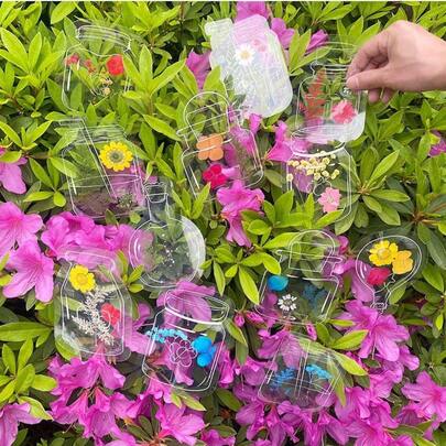 4 Stile, je 5 Muster - Handgemachte DIY Lesezeichen, gepresste Blumenpflanzen-Exemplare in Glasflasche, transparente hochauflösende Aufkleber, kreative botanische Sammlungslesezeichen für Studenten, fangen Sie die Schönheit des Frühlings ein