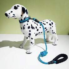 1 Set Black Cat & Dog Reflective Leash, Pet Walking Leash For Dogs & Cats, 2pcs - Black - View 15