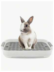 1个PP材质双层猫砂盆，宠物厕所，可拆卸可清洗，带排水孔，适用于猫、小型犬、兔子、豚鼠和其他小型动物，四季皆宜。 - 彩色 - 查看 1