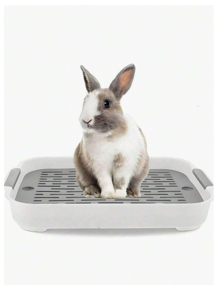 1个PP材质双层猫砂盆，宠物厕所，可拆卸可清洗，带排水孔，适用于猫、小型犬、兔子、豚鼠和其他小型动物，四季皆宜。 - 彩色 - 查看 1