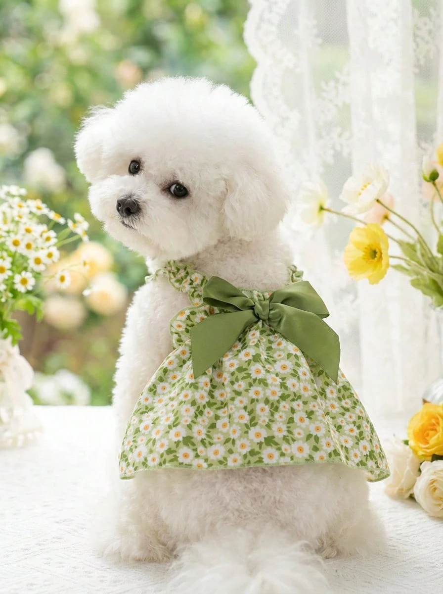 PETSIN Váy dây công chúa mùa hè cho chó nhỏ, trang phục cho thú cưng dành cho chó nhỏ/vừa - màu xanh lá - Xem 1