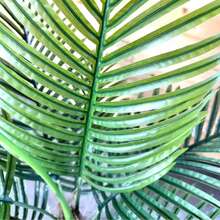180cm Indoor Artificial Green Plant / 1.8m Potted Kentia Palm / Tall Floor Decoration For Living Room - Green - View 7