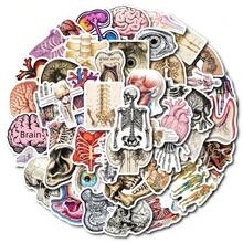 50 Piezas Pegatinas creativas de cerebro para botellas de agua, portátiles, teléfonos, scrapbooks, diarios, regalos para parachoques para adolescentes y adultos - Invierno, Año Nuevo - Multicolor - Ver 3